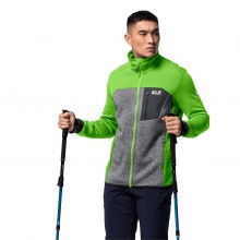 Jack Wolfskin Fleecejacke Sky Peak grün/grau Herren